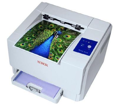 Toner Xerox Phaser 6110B